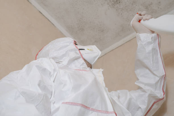 Best Mold Remediation Experts  in Brillion, WI