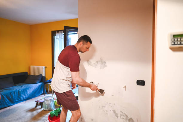 Best Mold Damage Repair  in Brillion, WI